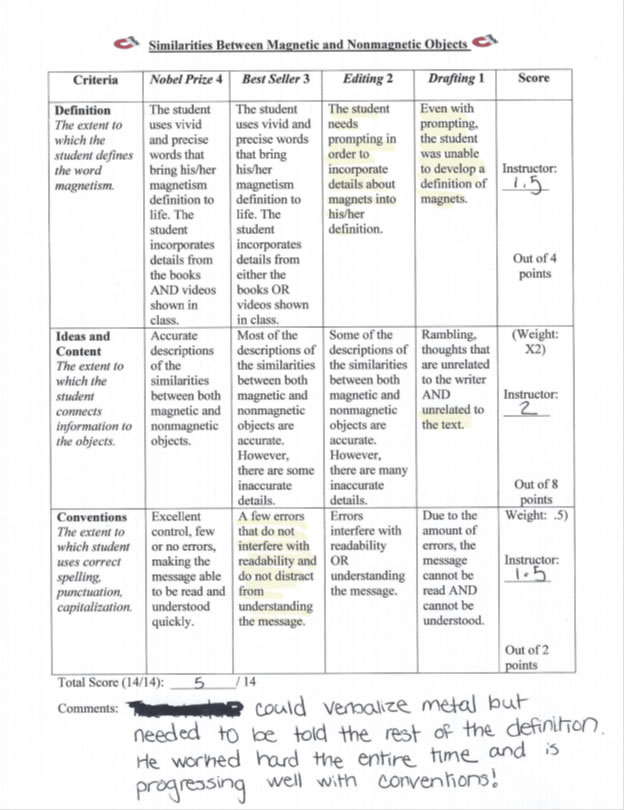 developing level rubric